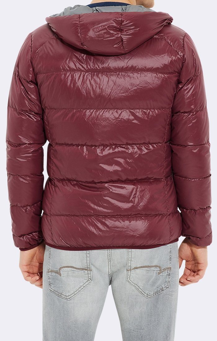 DOWN JACKET - FIG - Mavi Jeans